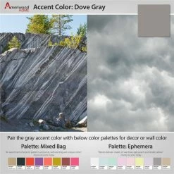 Coupon 😉 Ameriwood Home Altra Parsons 2 Drawer Writing Desk In Gray 😀 -Cheap Executive Store 1540957 7 L