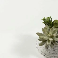 Buy 🎁 Tvilum Walker 3 Drawer Writing Desk In White And Oak 👏 -Cheap Executive Store 1655695 4 L